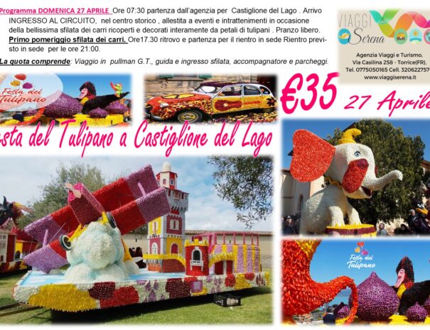 tulipano 27 APRILE 2025