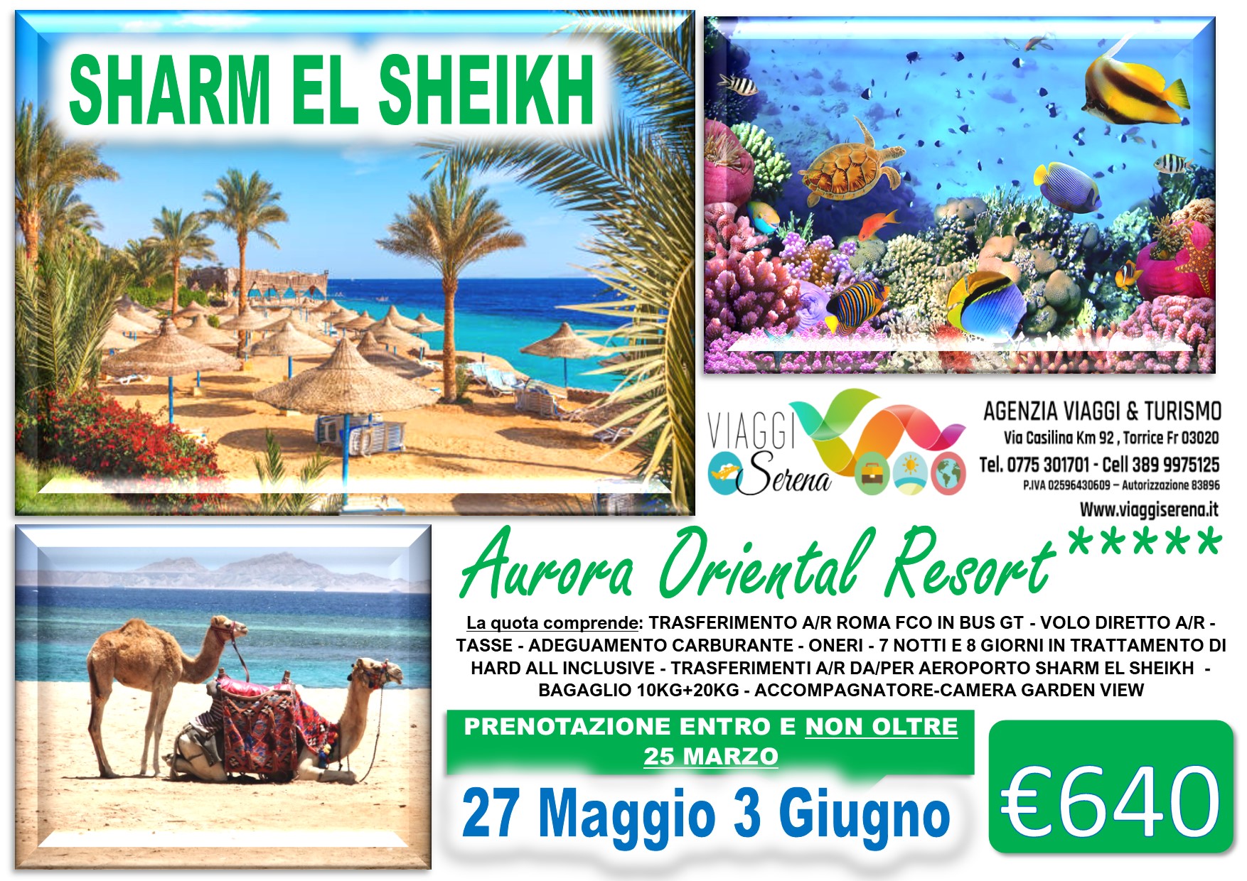 Viaggi di Gruppo: SHARM EL SHEIKH Aurora Oriental Resort 27 Maggio 3 Giugno € 640,00