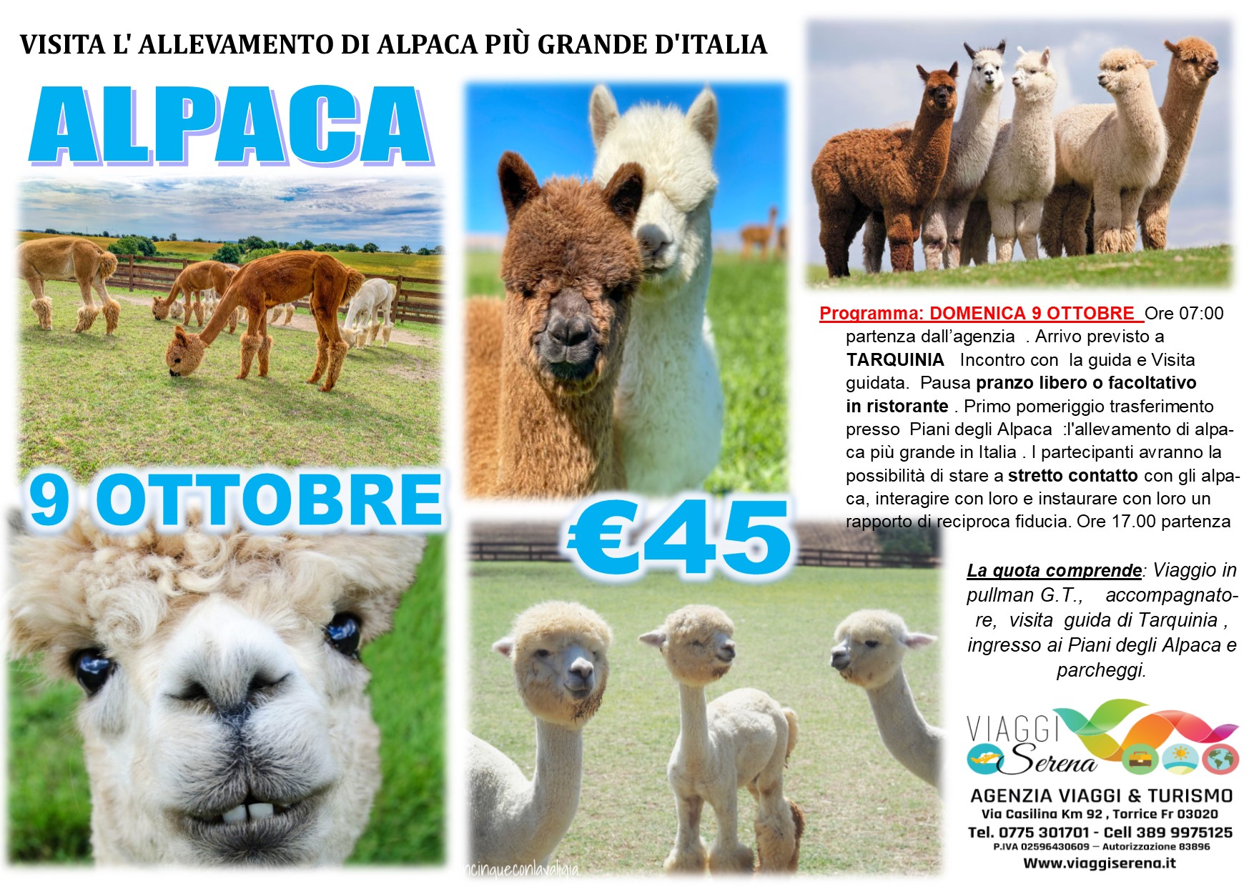 Viaggi di Gruppo: Piani degli ALPACA &  TARQUINIA  9 Ottobre € 45,00