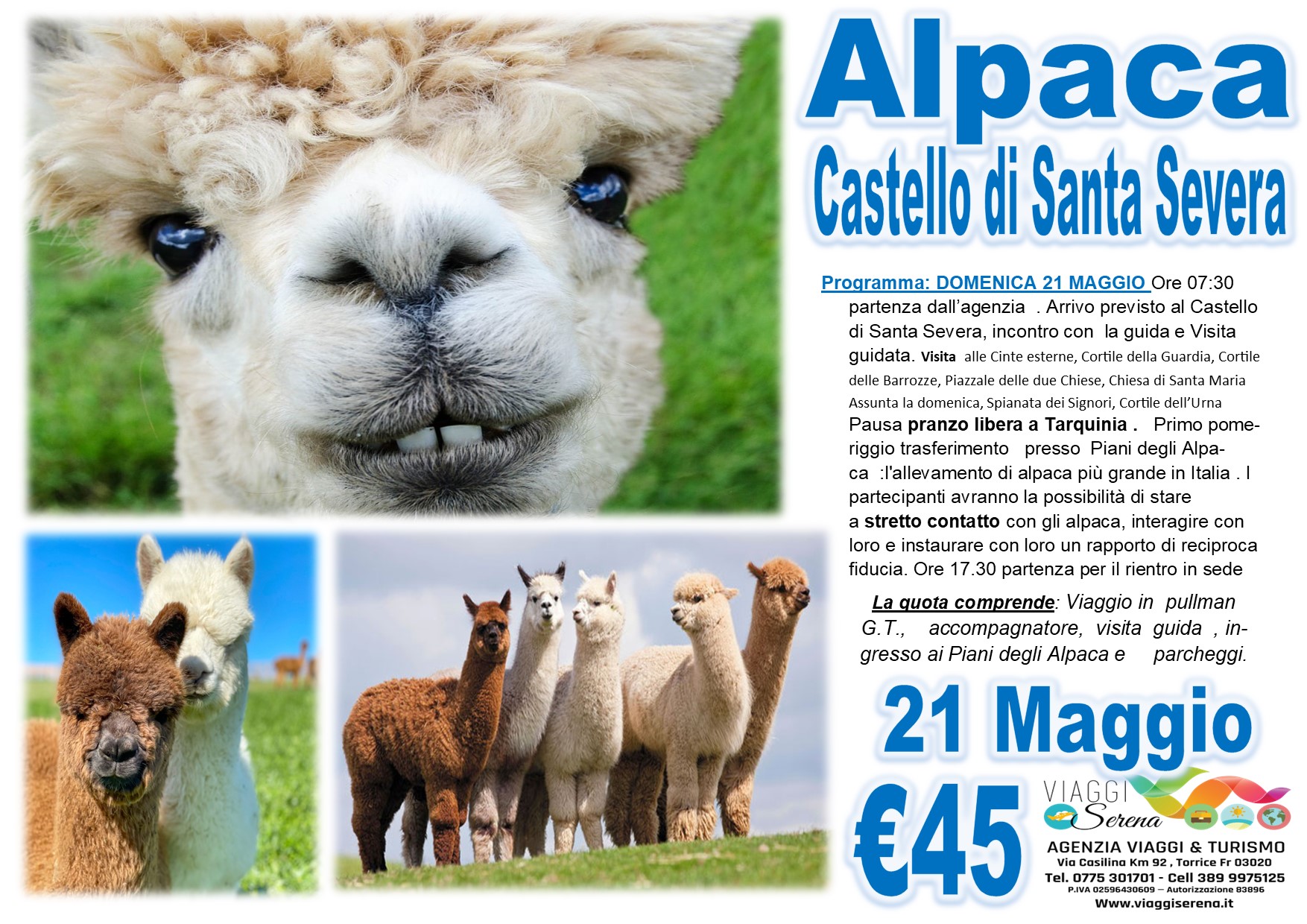 Viaggi di Gruppo: ALPACA & Castello di Santa Severa 21 Maggio € 45,00